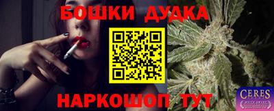 PSILOCYBIN Усть-Джегута