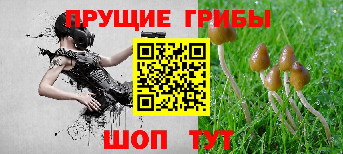 Галлюциногенные грибы ЛСД Ярославль