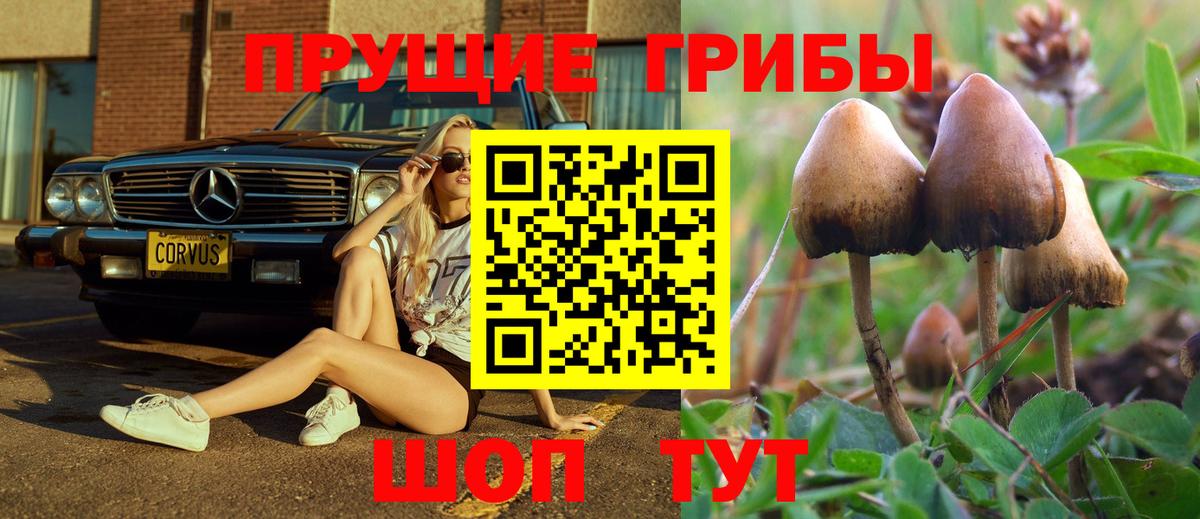 Псилоцибиновые грибы GOLDEN TEACHER  Вход с VPN  как найти   Ярославль 